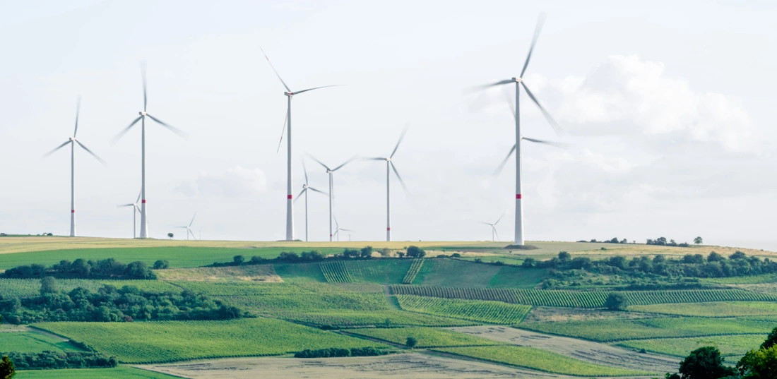 5 easy ways to reduce or offset your company's climate footprint